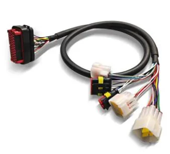 Производитель OEM Custom электрический жгут проводов в сборе для автомобиля